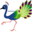 poutypeacock.com