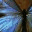 metransformed.wordpress.com