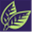 newleafstudio.com