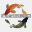 postremosys.com