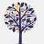 tarotfoundations.com