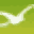 paramarket.com