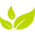 nasheda.com