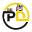 precisedigital.com
