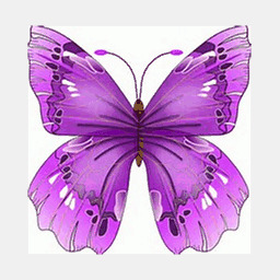 crystalwatercollections.com