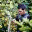 goengineer.wordpress.com