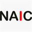 naic.cl