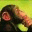 mcrnigoj.wordpress.com