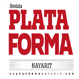 plataformazac.com