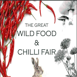 wildfoodandchillifair.com