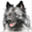 spitzenwolf.at