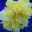 kristaskene.wordpress.com