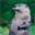 fy-est-le-boss-help.over-blog.com