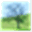 calalberche.org