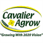 cavalieragrow.wpengine.com