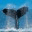 icystraitpoint.wordpress.com