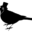 twittertape.co.uk