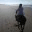 travelopoda.wordpress.com
