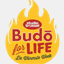 budoforlife.be
