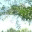 ivepdas.wordpress.com