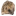 website-traffic-hog.com