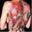 traqueur72.wordpress.com