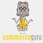 commerce-guru.biz