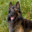 monamitervuren.com