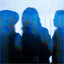 thecolornoise.com