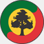 stevebiko.org.br
