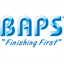 bapspaint.com