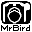 mrbird.co.uk