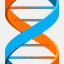 vividhelix.com