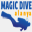 magicdive.com