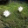 poonnaphat.wordpress.com