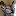 dapodcatz.com