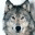 cubewolf.wordpress.com