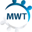 managingworldwideteams.com