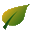 oldrosegarden.co.uk