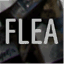 davisflea.wordpress.com