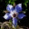 lunaedew.wordpress.com