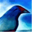 zendialogue.wordpress.com