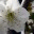 fukushimaupdates.wordpress.com