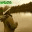 maineflycasting.wordpress.com