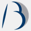 bruneauluminaire.com