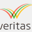 veritas-consulting.one