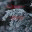 geocollect.wordpress.com