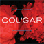 cougar.bandcamp.com