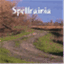 spellrainia.wordpress.com