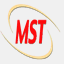 mstgroup.de